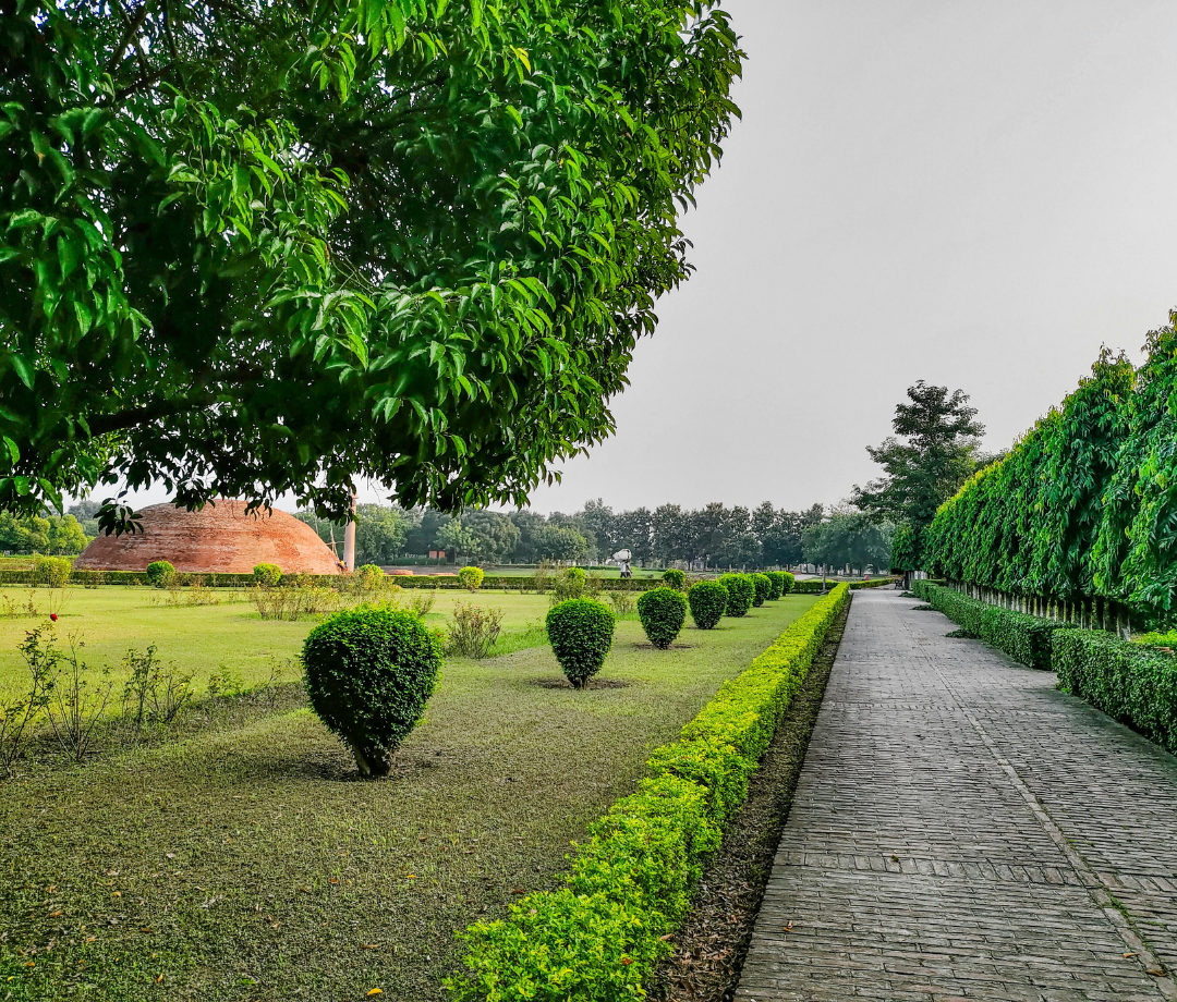 Hardscape Design and Installation